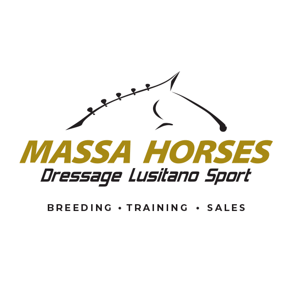 Massa Horses - Dressage Lusitano Sport