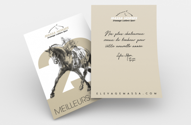 MASSA HORSES